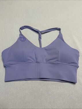 Purple Strappy Sports Bra